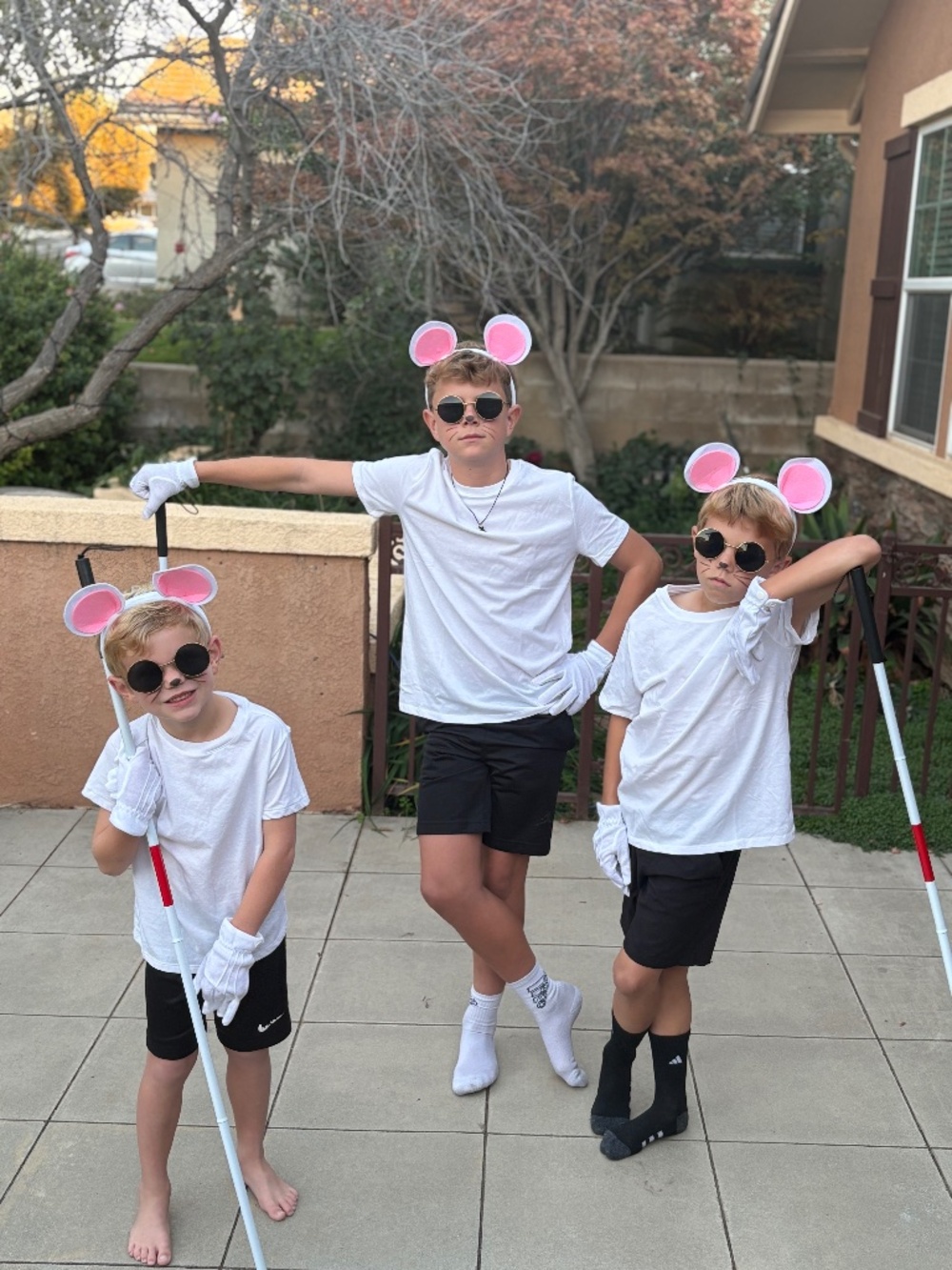 Three blind mice costume set